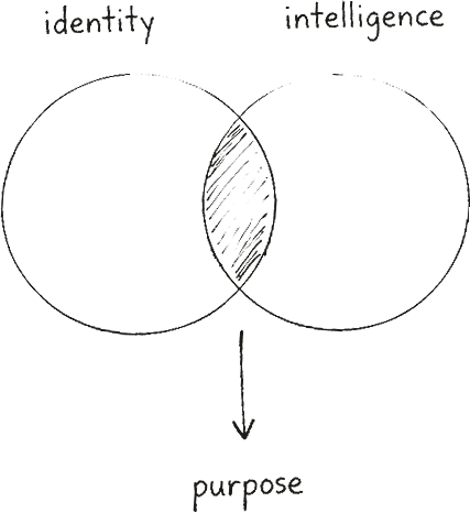 identity and intelligence overlap to purpose